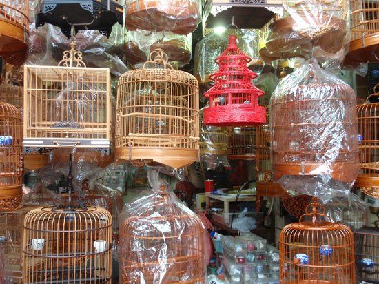 Yuen Po Street Bird Garden